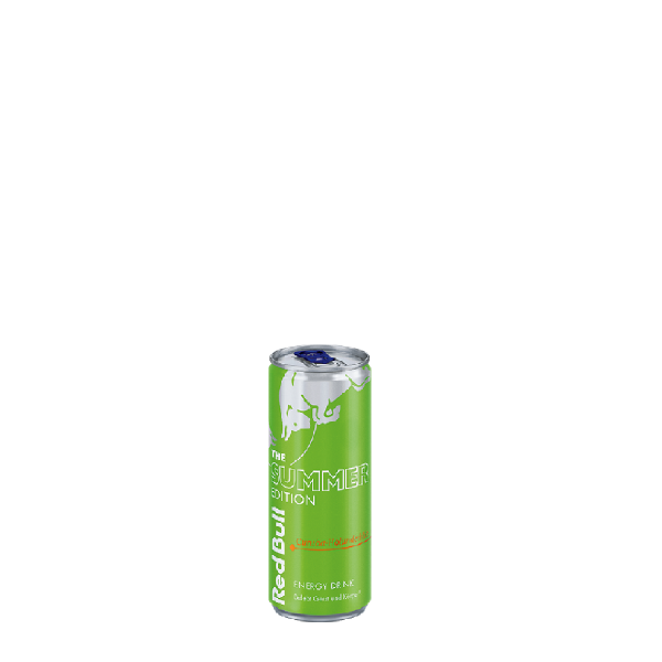 Red Bull Energy Hiver Edition Grenade 250 ml dépôt jetable