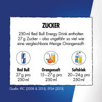 Red Bull Energy Edition Summer 2025 White Peach 250 ml
