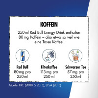 Red Bull Energy Edition Summer 2025 White Peach 250 ml